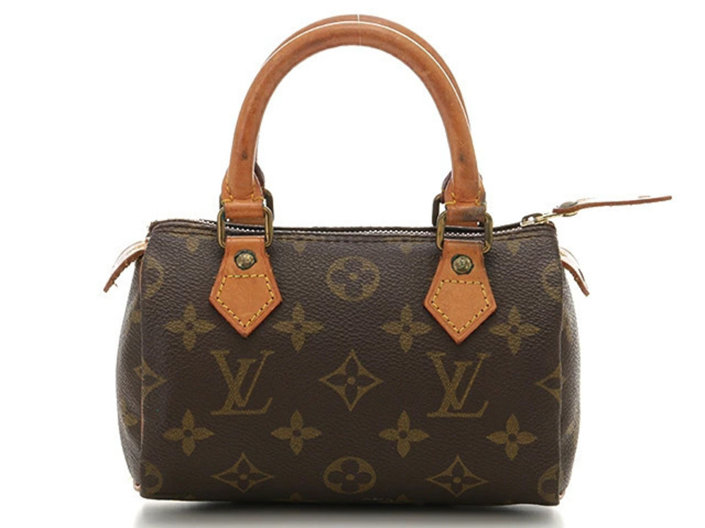 LOUIS VUITTON Monogram Speedy